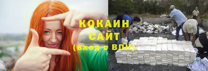 продажа наркотиков  Волоколамск  Cocaine FishScale 